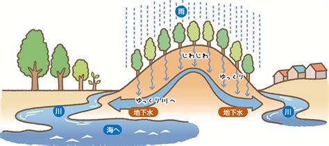 涵養水源的意思|涵養